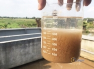 Cung cấp vận chuyển bùn vi sinh quận 8 uy tín - nhanh nhất